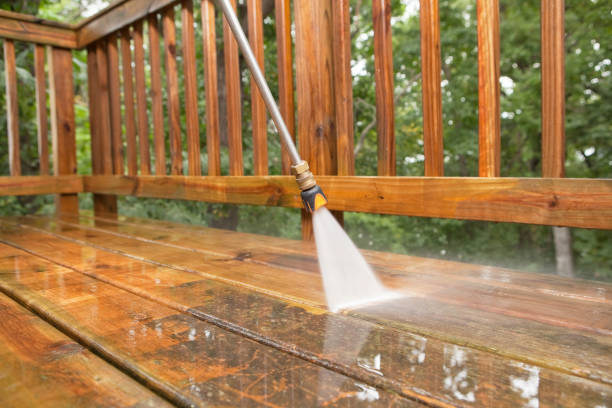 Best Local Pressure Washing Services  in Davenport, FL